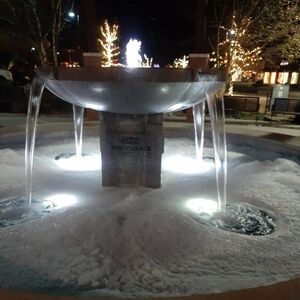 Meet your Posher, Edith